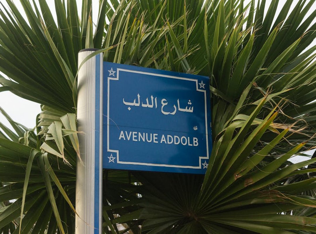 Signature Akkoub Dishes: A Taste of the Levant