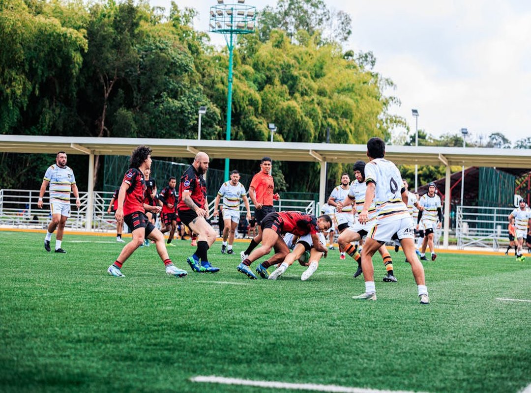 machine learning frameworks