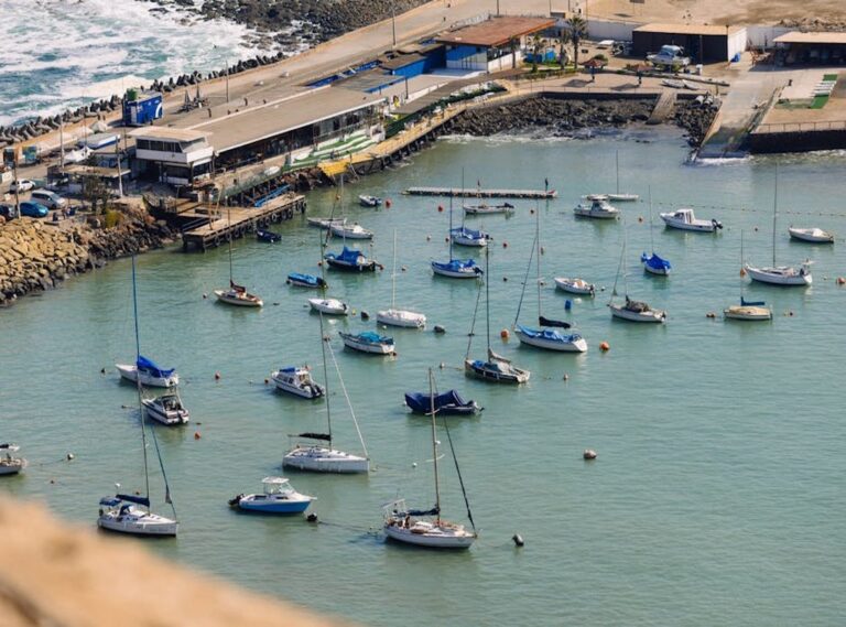 shirley arica tatuajes