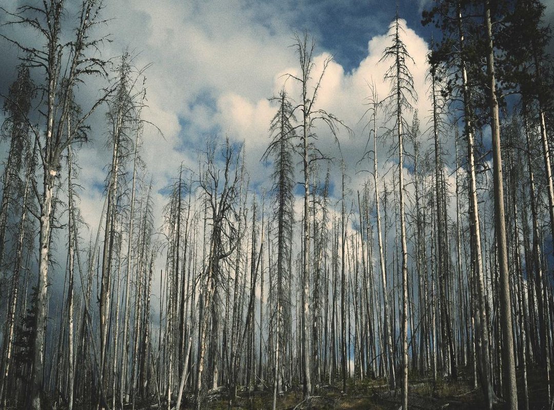 The Real Price You Pay: Hidden Dangers of Using Arsmate Hacks