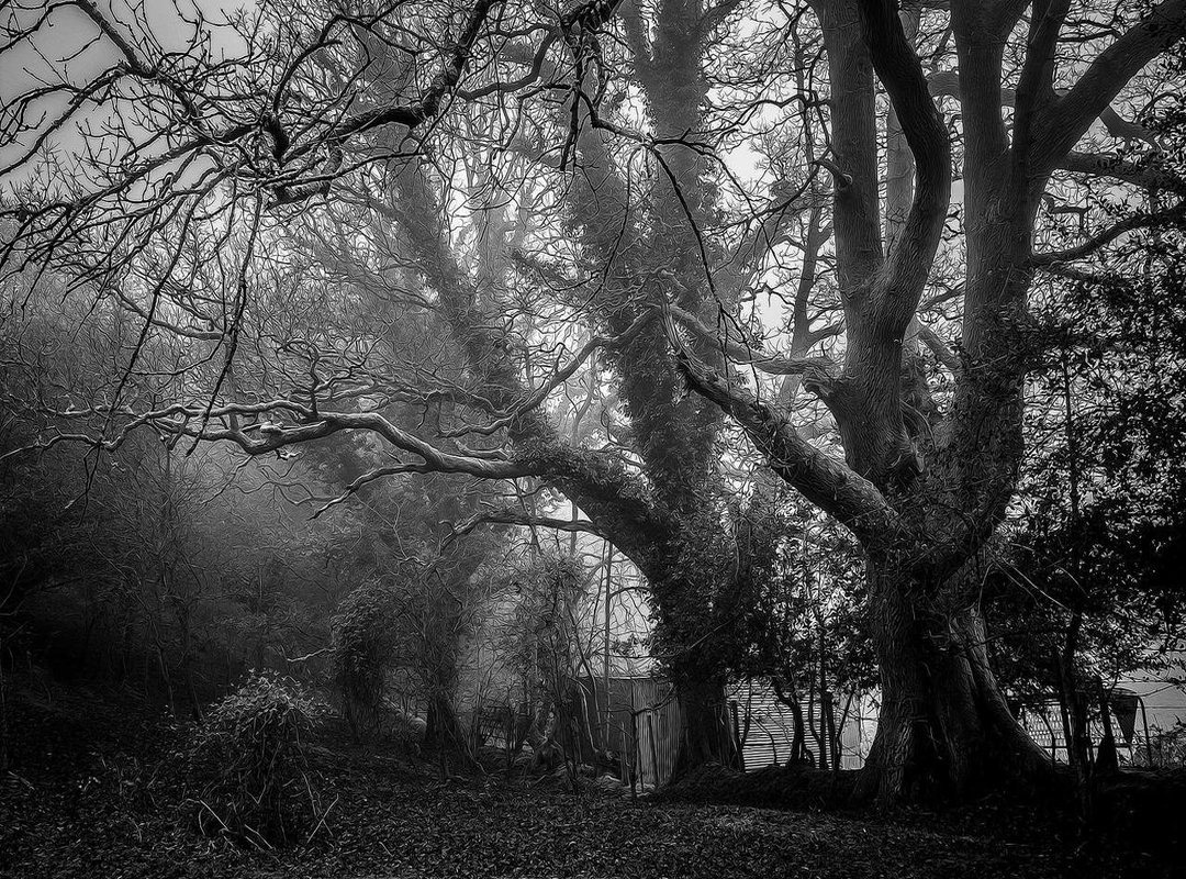 From Competitor to Mentor: Her Evolving Role and Focus