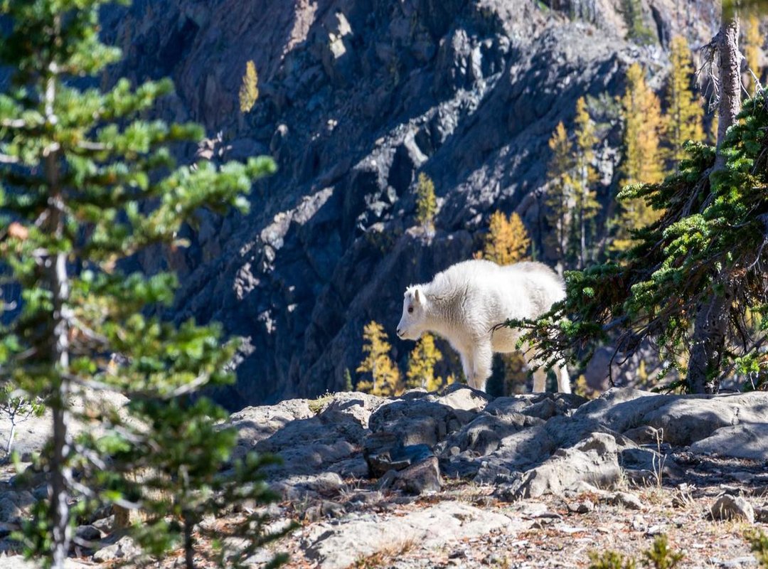 Proper Usage Guidelines: The Dos and Don'ts