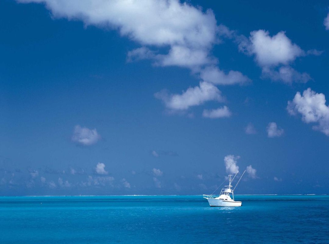 Level Up Your Screen: Exploring 4K and Ultra-Wide Options