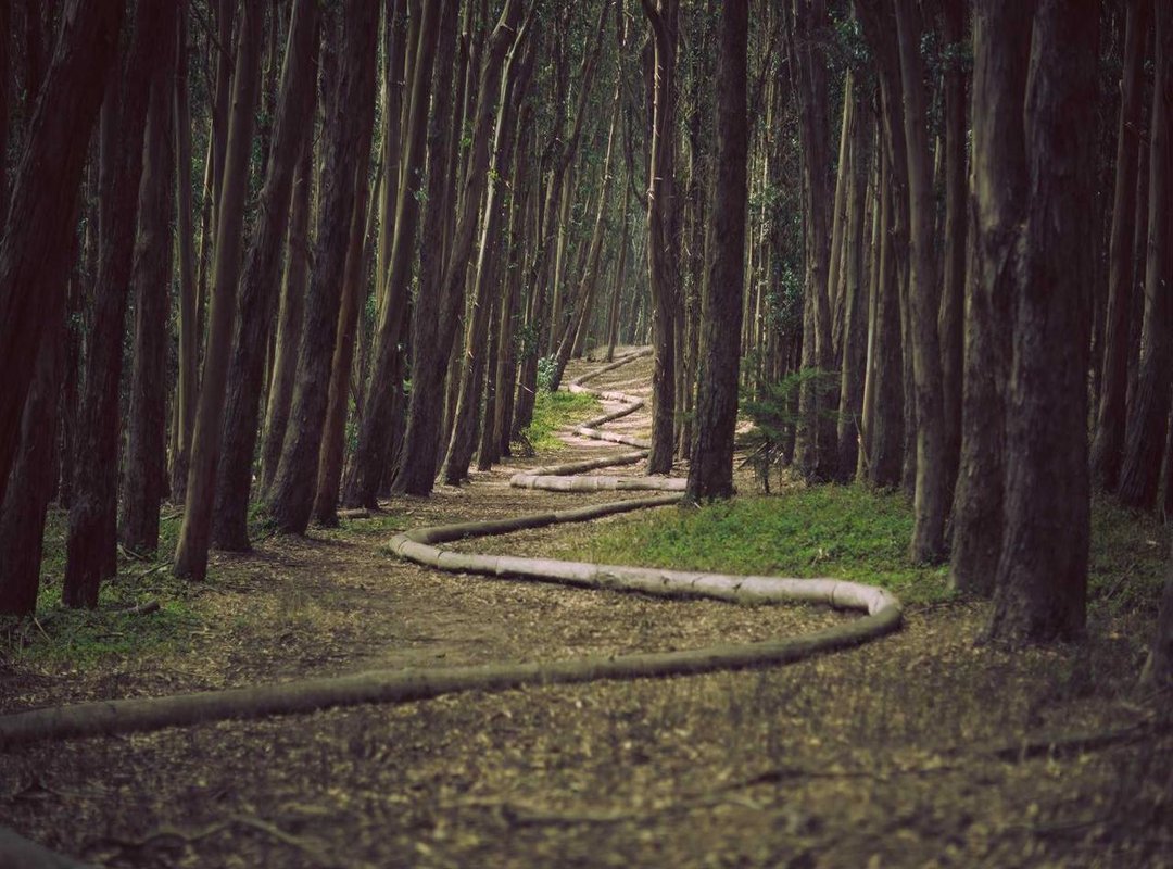 How to Share Your Feelings: Best Practices for Using Images on WhatsApp